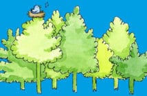 Forest Schools in York for Kids