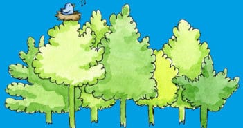 Bushbabies and bushcraft classes with the Woodland Adventure Co.