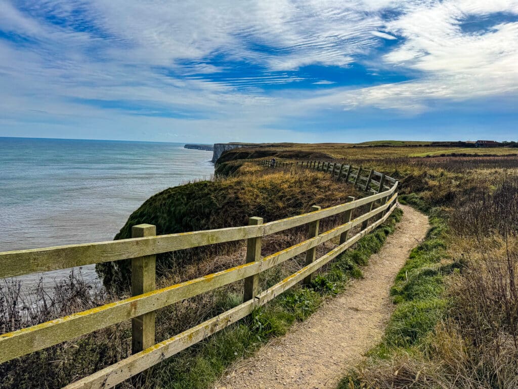 bempton cliffs bridlington • Little Vikings - York for Kids bempton cliffs bridlington