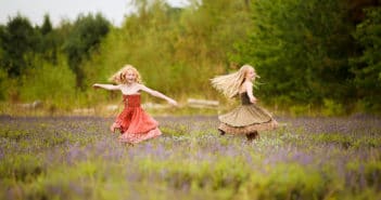 Wolds Way Lavender Wolds Way Lavender
