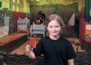 Dig York
