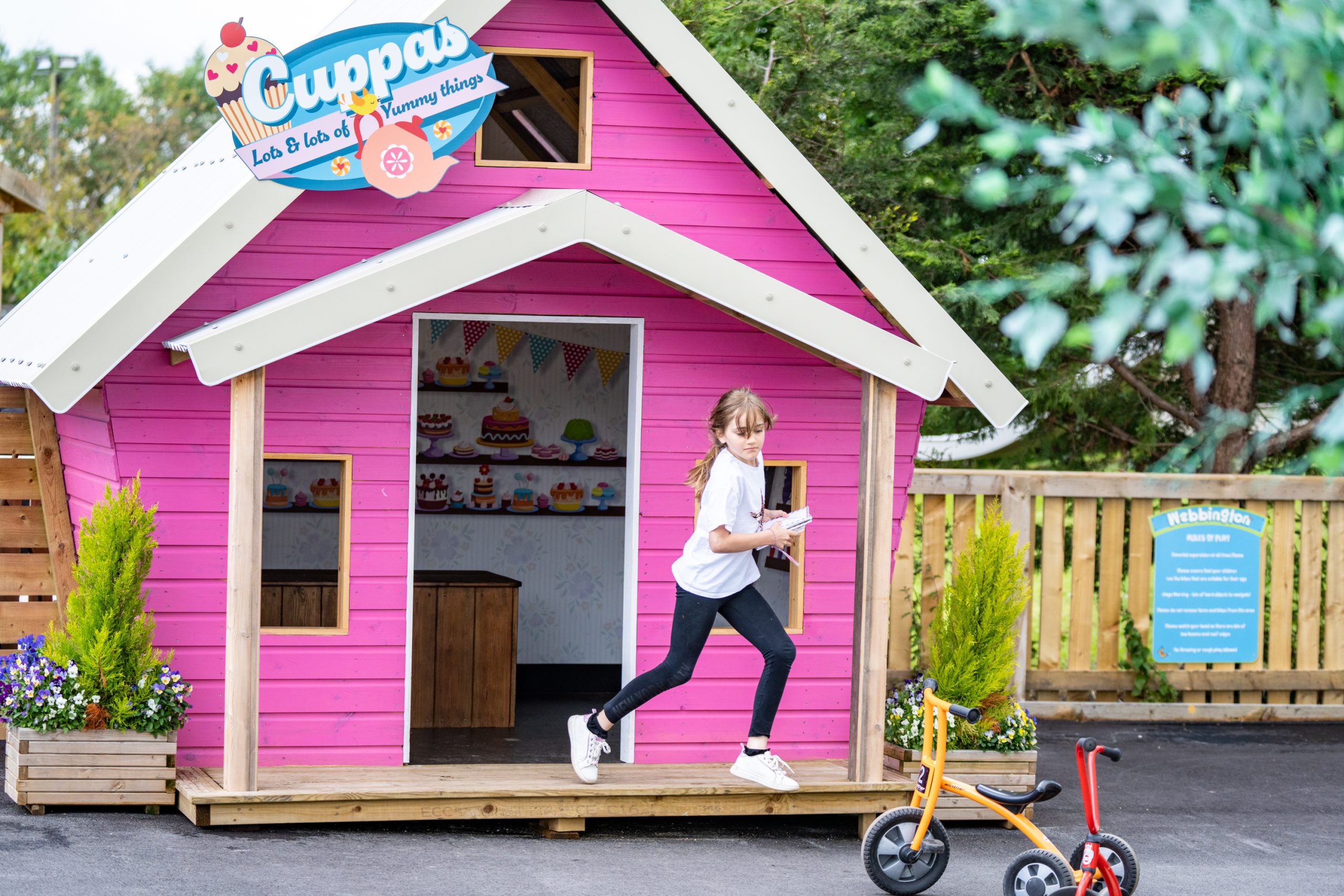 web adventure park york