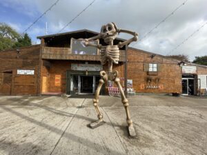 Family enjoying Halloween activities with lights and decorations at Stockeld Park