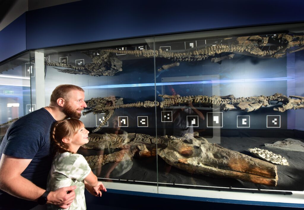The Yorkshire Museum