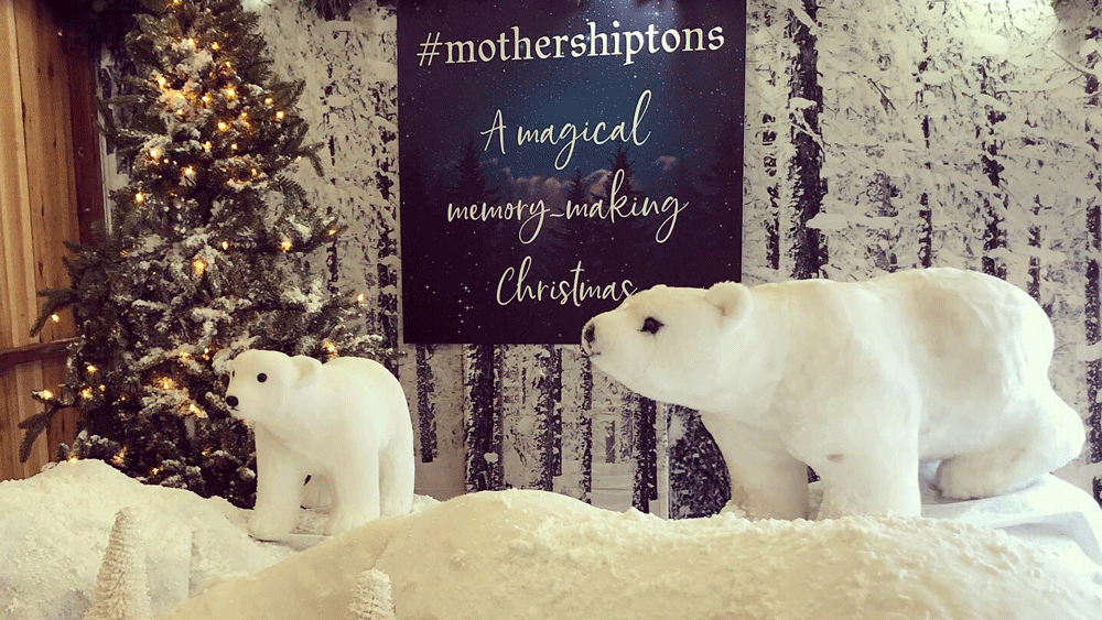 Mother-Shiptons-Polar-Bear | Little Vikings - York for Kids