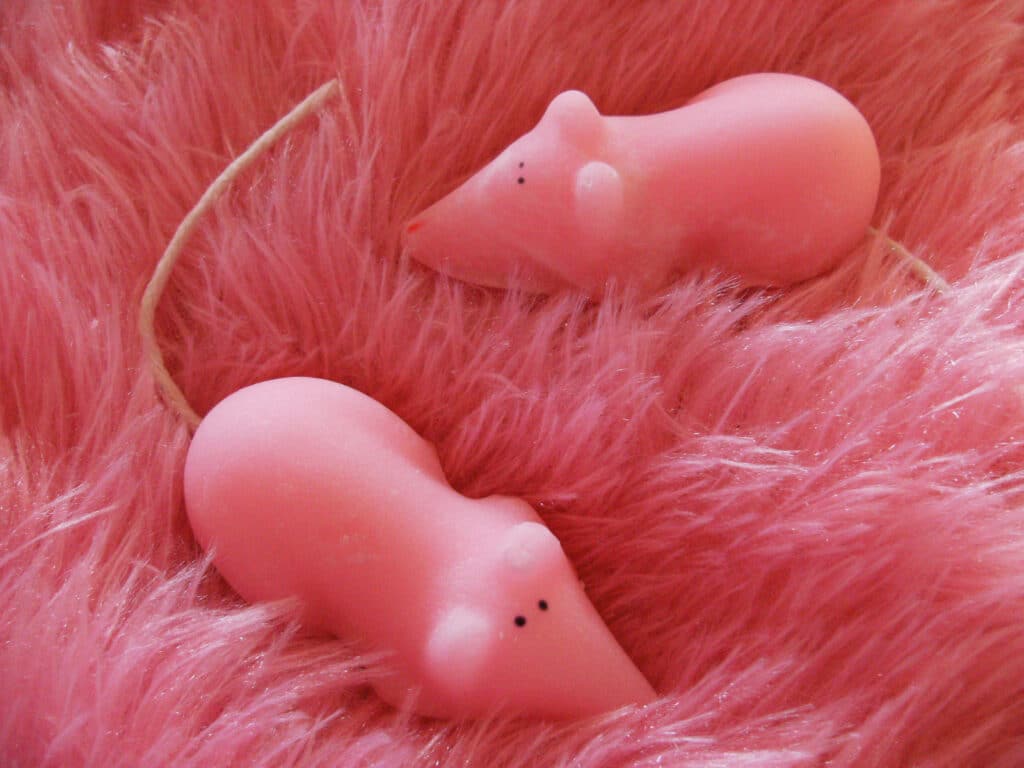 sugar mice
