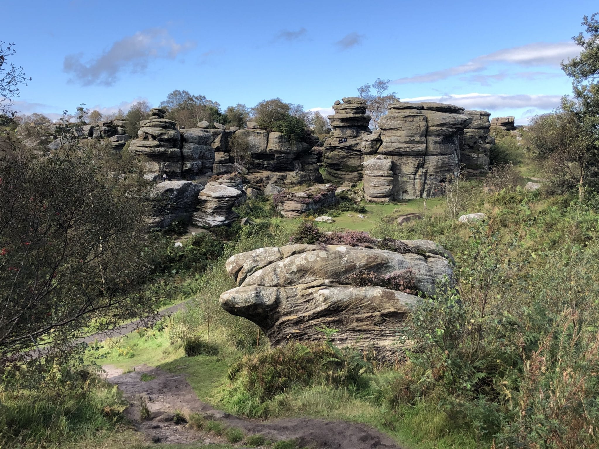 Five reasons to visit Brimham Rocks | Little Vikings