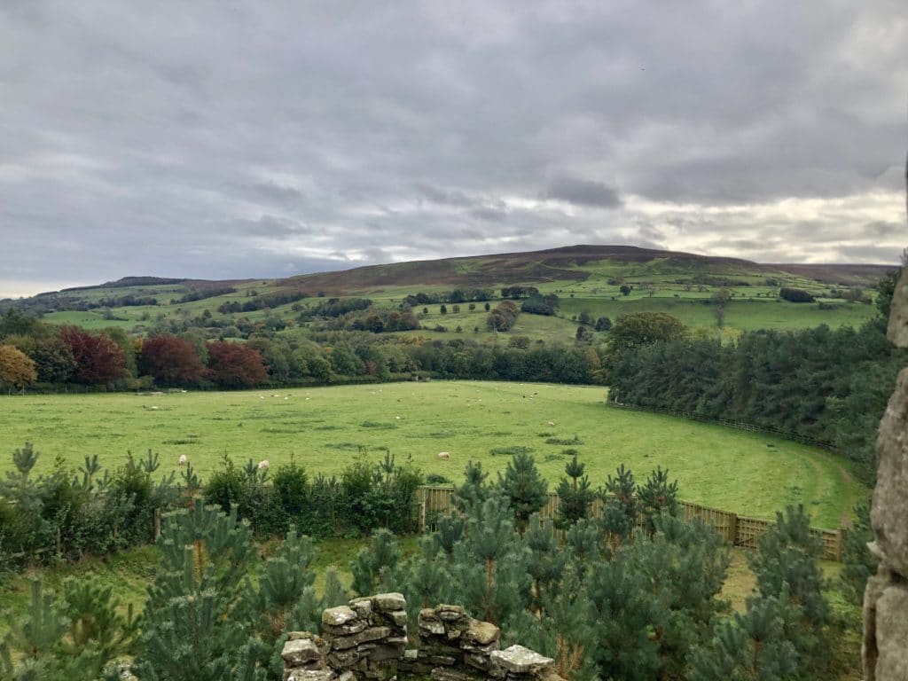 The Forbidden Corner in Yorkshire – a magical and mysterious family  attraction with surprises around every corner - our review and top tips -  The Family Holiday Guide