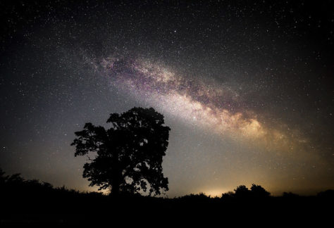 Dark Skies Festival Moors