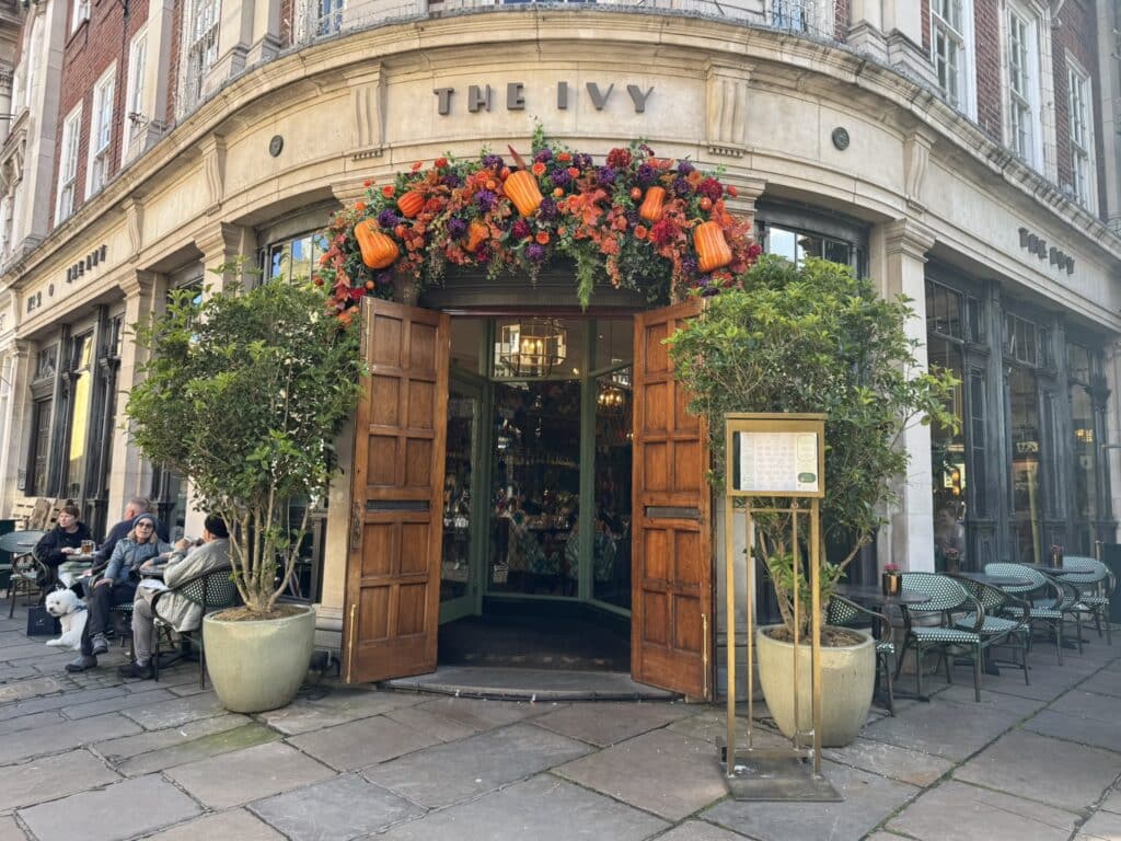 the ivy york