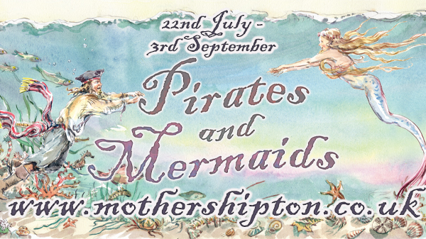600x337-Summer-Newsletter | Little Vikings - York for Kids