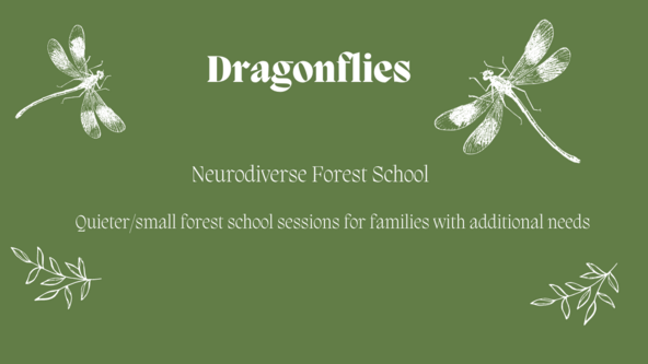 Dragonfliespng | Little Vikings - York for Kids
