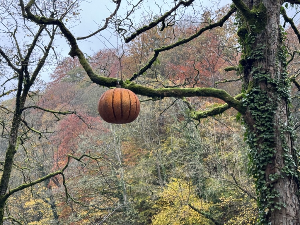 bolton abbey • Little Vikings - York for Kids bolton abbey