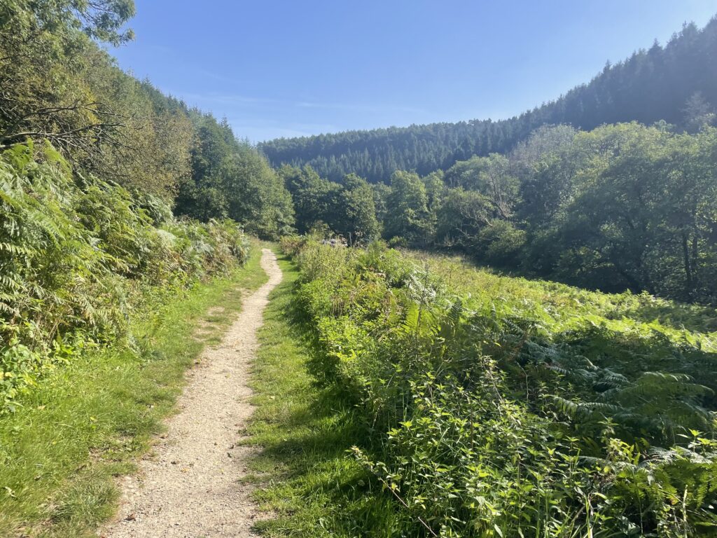 Dalby Forest walk