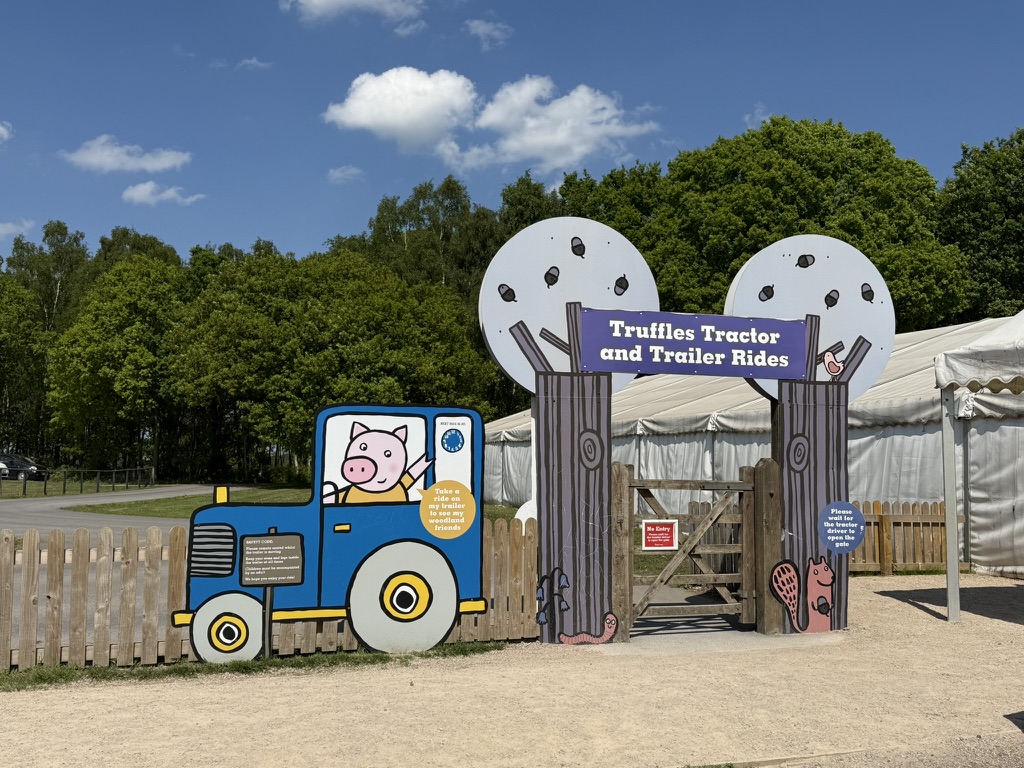 7126CE7F-07B7-46F9-A311-5DF97E75E6A9_1_105_c • Little Vikings - York for Kids piglets adventure farm