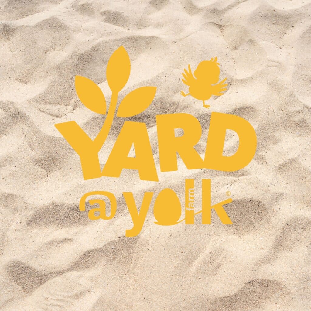 Yolk farm beach