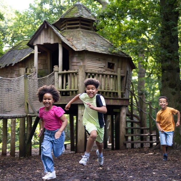 harlow carr