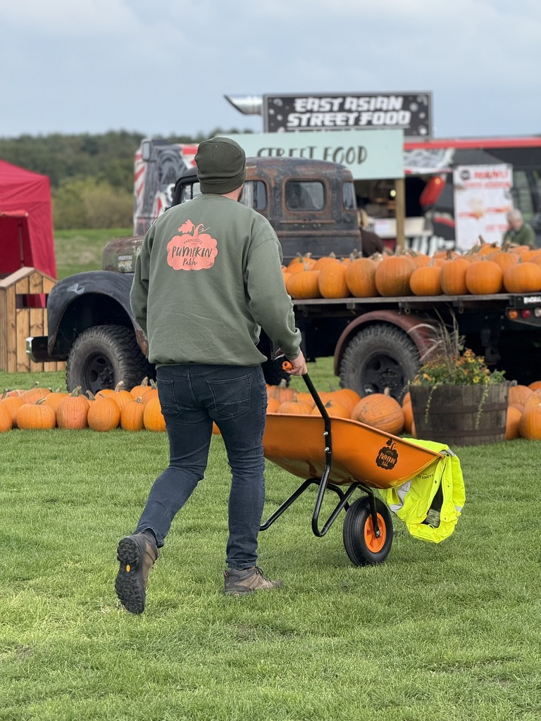 farmer ed's pumpkin patch york • Little Vikings - York for Kids farmer ed's pumpkin patch york