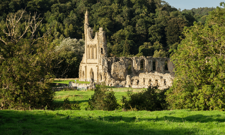 Byland Abbey