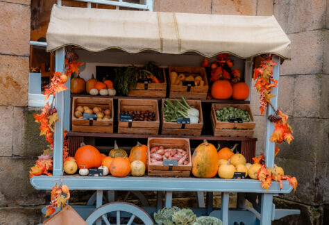 Celebrate autumn at Castle Howard with family trails, Skelf Island fun, pumpkin hunts, late-night tours and seasonal treats near York.