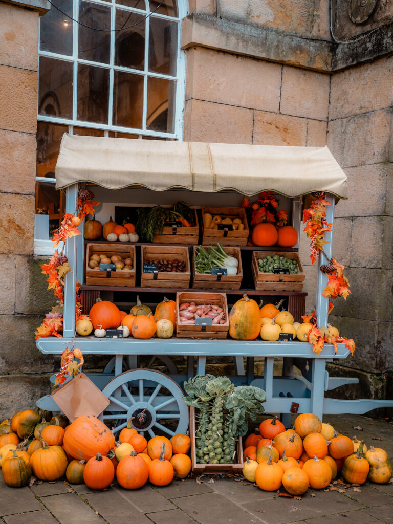 Celebrate autumn at Castle Howard with family trails, Skelf Island fun, pumpkin hunts, late-night tours and seasonal treats near York.