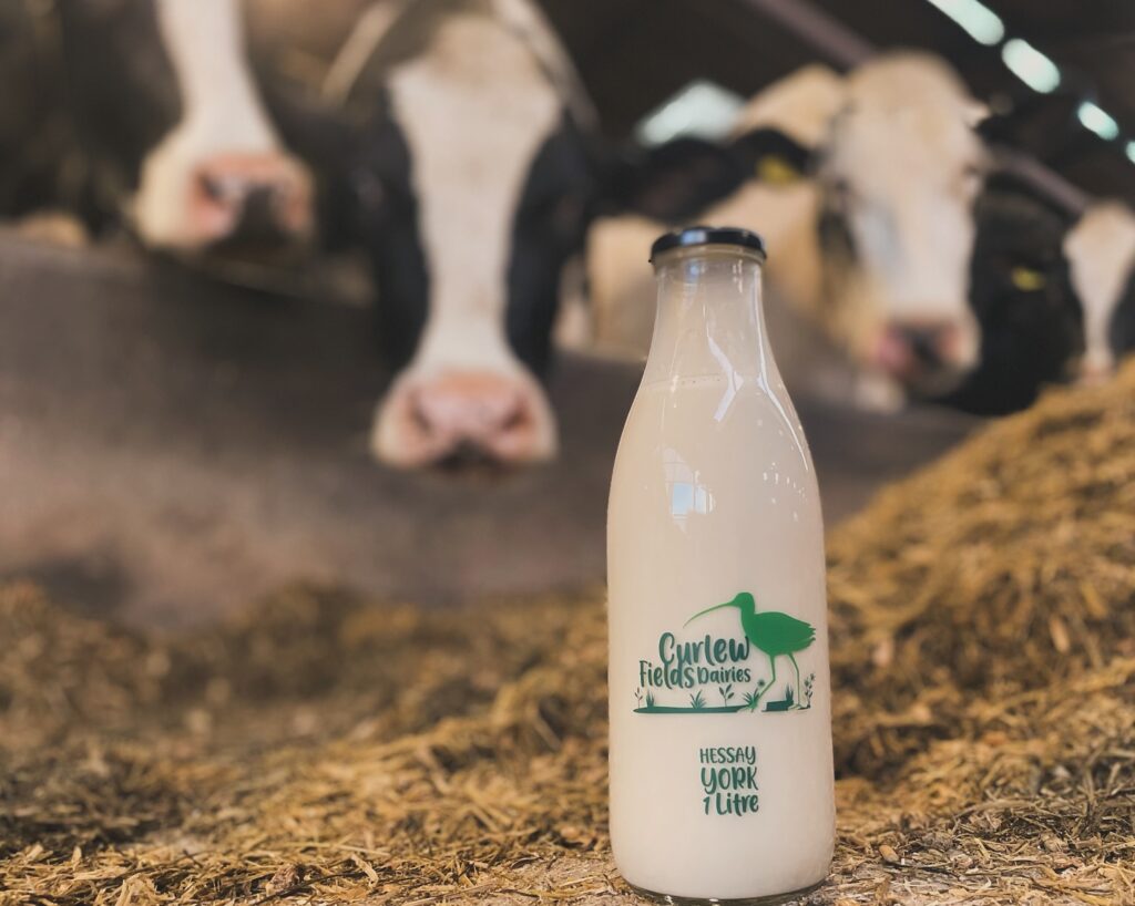 Curlew Fields Dairies