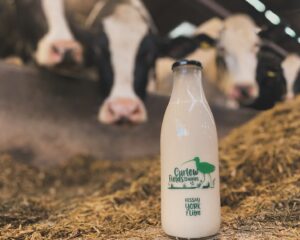 Curlew Fields Dairies