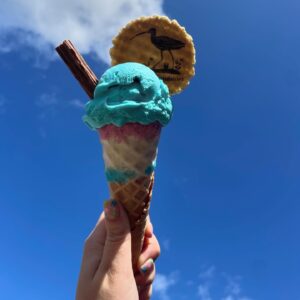 Curlew Fields Dairies