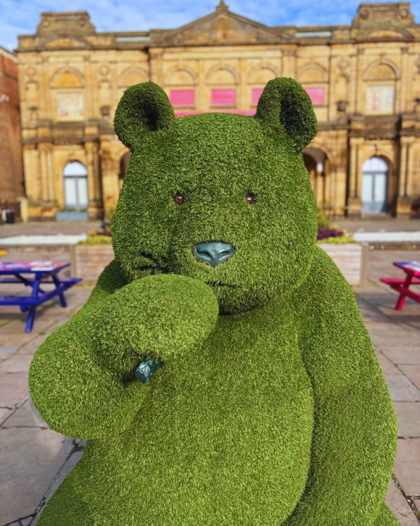 1 • Little Vikings - York for Kids york summer grass animal