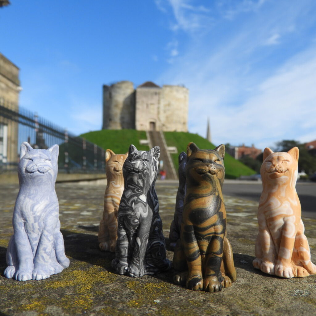 black cat quest • Little Vikings - York for Kids