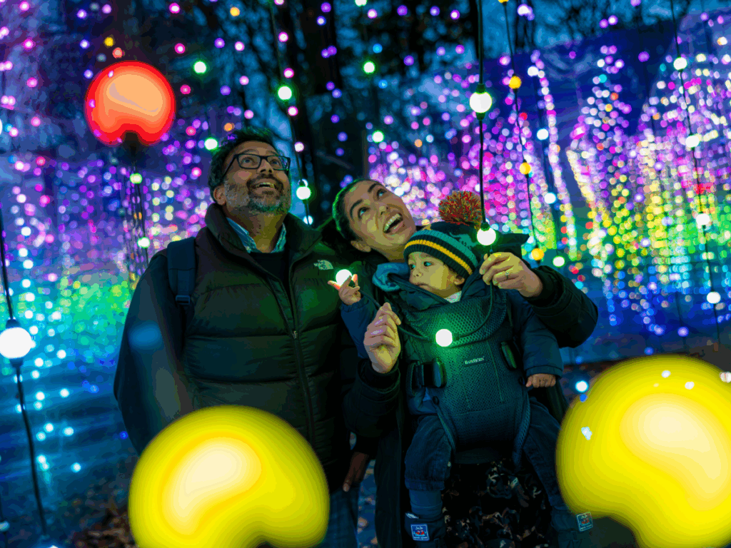 1 • Little Vikings - York for Kids