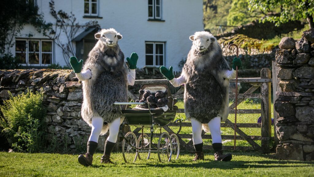 flock york yorkshire day