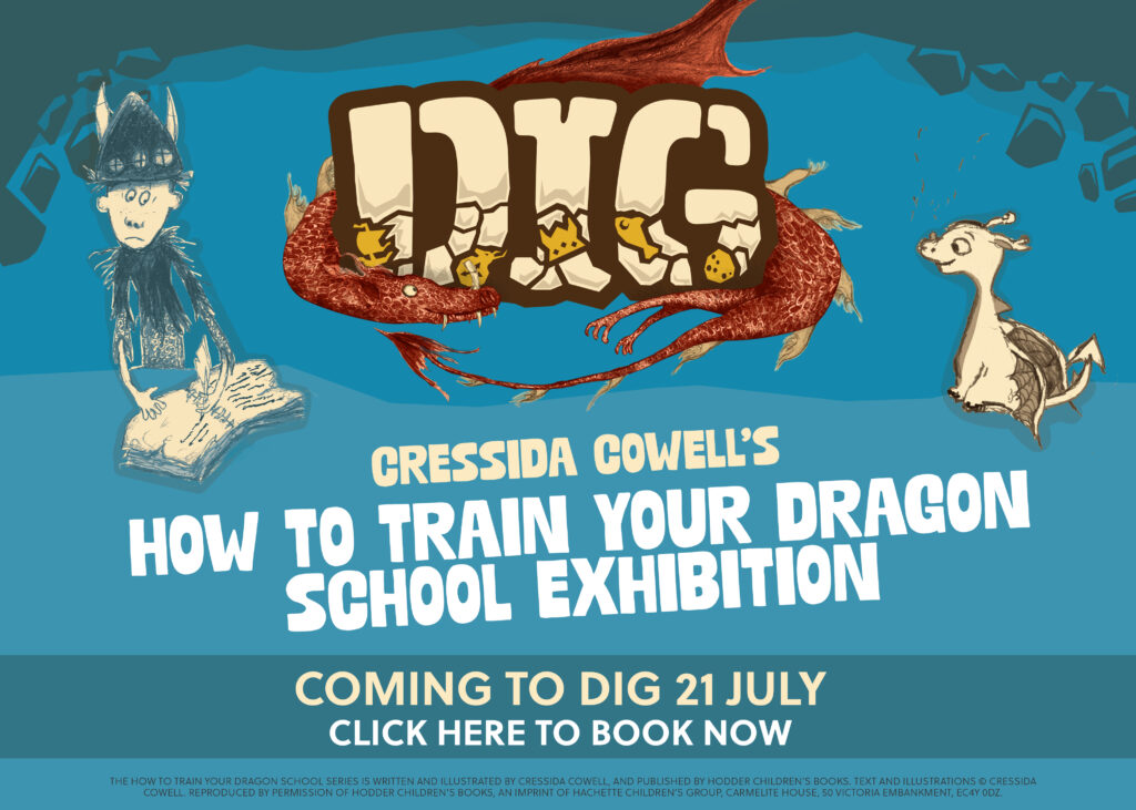 dig york how to train your dragon