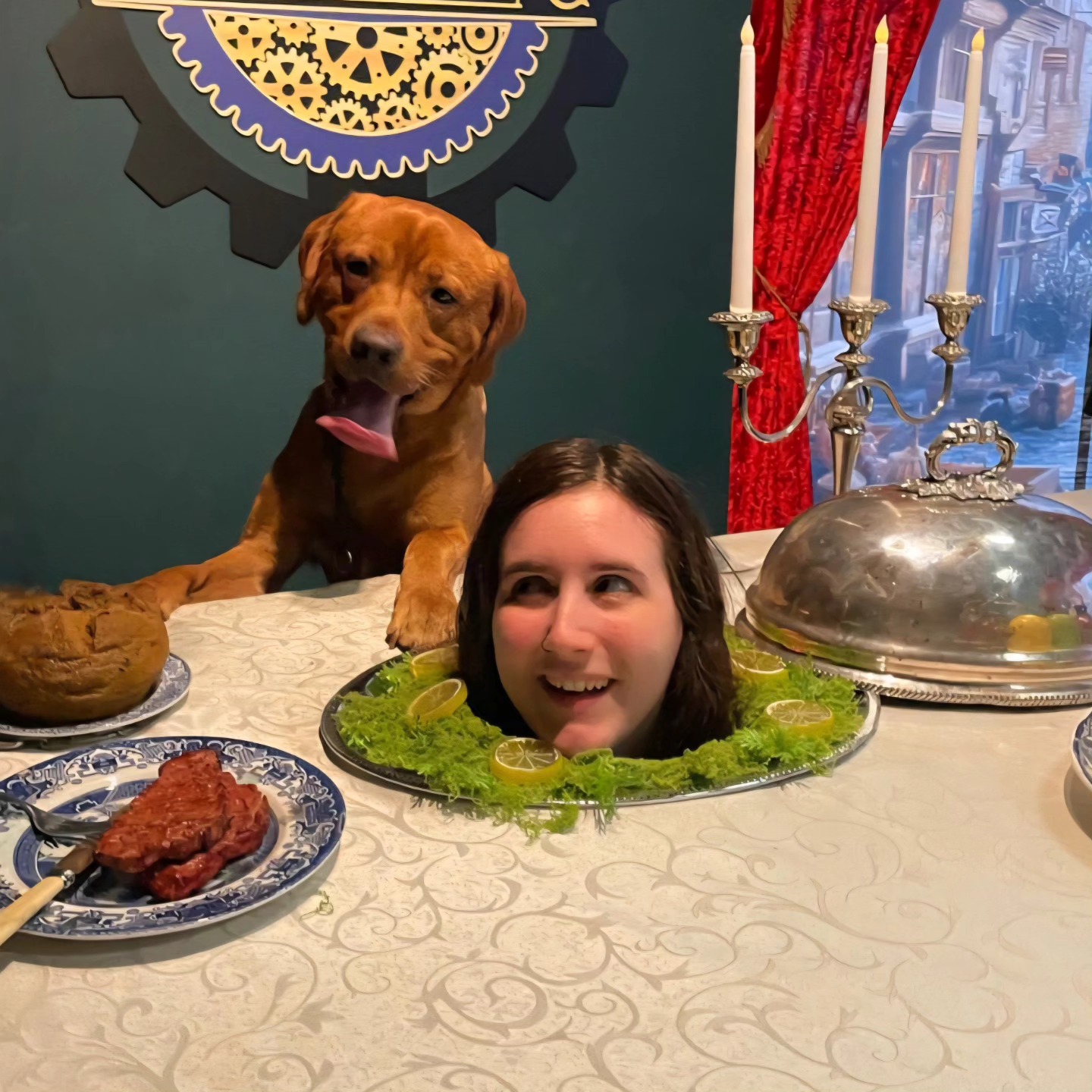 professor kettlestring york dog day