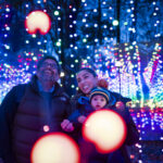 Families walking through the Stockeld Park Winter Illuminations light trail with glowing trees and festive displays near York