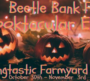 Beetle-Bank-Farm-October-half-term