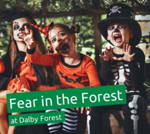 Fear in the Forest Dalby Forest 2022
