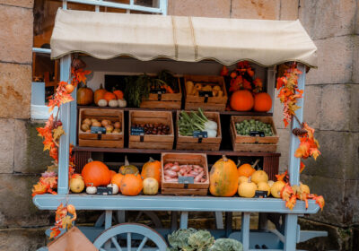 Celebrate autumn at Castle Howard with family trails, Skelf Island fun, pumpkin hunts, late-night tours and seasonal treats near York.