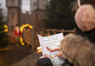 raby castle christmas